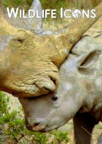 Wildlife Icons thumbnail