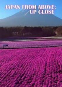 Japan from Above: Up Close thumbnail