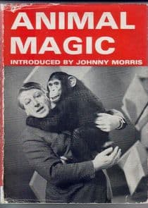 Animal Magic thumbnail