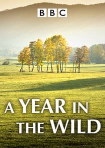 A Year in the Wild thumbnail