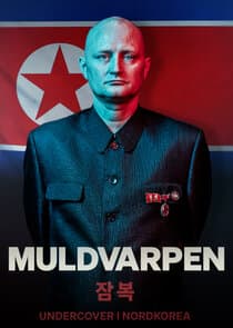 Muldvarpen - Undercover i Nordkorea thumbnail