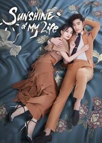 Sunshine of My Life thumbnail