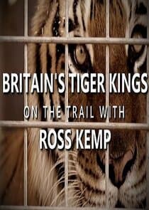 Britain's Tiger Kings - On the Trail with Ross Kemp thumbnail