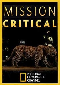 Mission Critical thumbnail