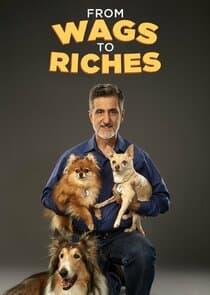 From Wags to Riches with Bill Berloni thumbnail