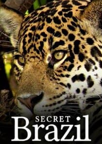 Secret Brazil thumbnail