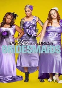Say Yes to the Dress: Bridesmaids thumbnail