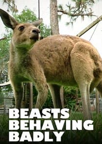 Beasts Behaving Badly thumbnail