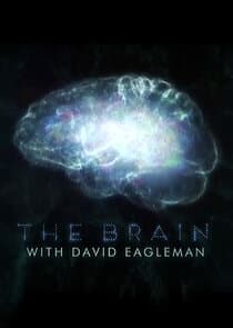 The Brain with David Eagleman thumbnail