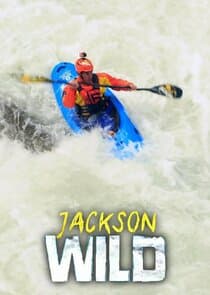 Jackson Wild thumbnail