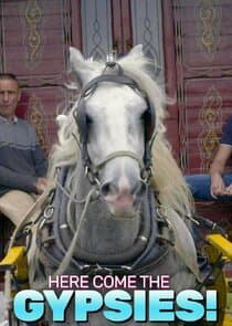 Here Come the Gypsies! thumbnail