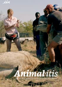 Animalitis thumbnail