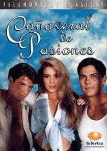 Cañaveral de pasiones thumbnail