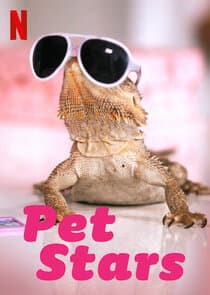Pet Stars thumbnail