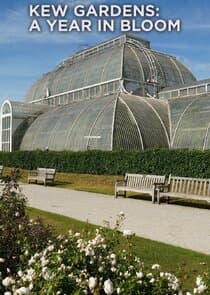 Kew Gardens: A Year in Bloom thumbnail