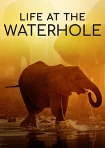 Life at the Waterhole thumbnail
