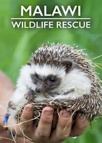 Malawi Wildlife Rescue thumbnail