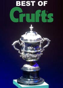 Best of Crufts thumbnail