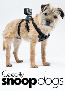 Celebrity Snoop Dogs thumbnail