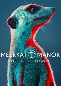 Meerkat Manor: Rise of the Dynasty thumbnail