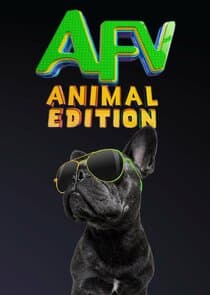 America's Funniest Home Videos: Animal Edition thumbnail