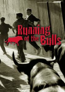 Running of the Bulls thumbnail
