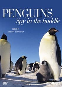 Penguins: Spy in the Huddle thumbnail