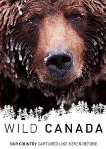 Wild Canada thumbnail