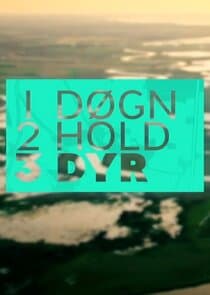 1 døgn, 2 hold, 3 dyr thumbnail