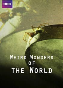 Weird Wonders of the World thumbnail