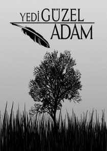 Yedi güzel adam thumbnail