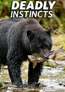 Deadly Instincts thumbnail