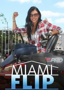 Miami Flip thumbnail