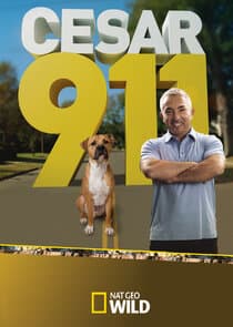 Cesar 911 thumbnail