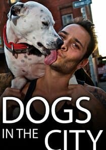 Dogs in the City thumbnail