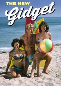 The New Gidget thumbnail
