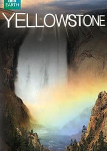 Yellowstone thumbnail