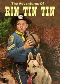 The Adventures of Rin Tin Tin thumbnail