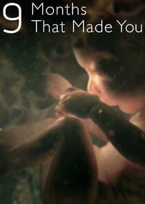 The Nine Months That Made You thumbnail
