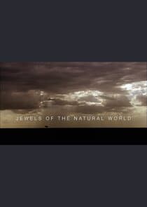Jewels of the World thumbnail