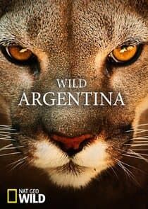 Wild Argentina thumbnail