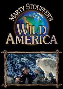 Marty Stouffer's Wild America thumbnail