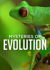 Mysteries of Evolution thumbnail
