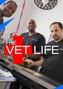 The Vet Life thumbnail