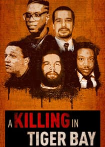 A Killing in Tiger Bay thumbnail