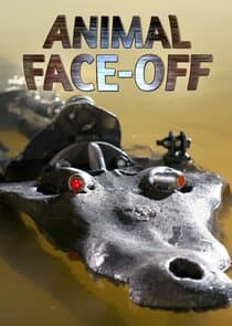 Animal Face-Off thumbnail