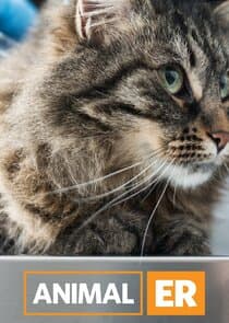 Animal ER thumbnail
