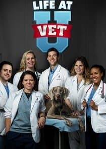 Life at Vet U thumbnail