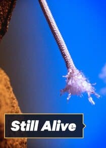 Still Alive thumbnail