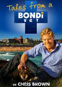 Bondi Vet thumbnail